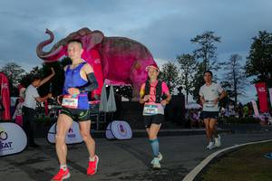 BIB: 
                            <button type="button" onclick="openModal(26529626)" class="btn btn-primary btn-sm float-right btn-popup" data-toggle="modal" data-target=".modal-high-quality">
                        <i class="fas fa-shopping-cart"></i> Add to Cart
                    </button>
                                            <button type="button" onclick="isThisMe(26529626, true)" class="btn btn-success btn-sm float-right btn-popup btn-isme hidden" data-toggle="tooltip" data-placement="bottom" title="นี่คือรูปของคุณใช่ไหม คลิกที่นี่เพื่อเอาเข้าอัลบั้ม">
                        <i class="fas fa-plus"></i> Add to album
                    </button>
                    <button type="button" onclick="isThisMe(26529626, false)" class="btn btn-warning btn-sm float-right btn-popup btn-isnotme hidden">
                        <i class="fas fa-ban"></i> Remove from album
                    </button>